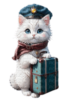Gato - Rubicat - png gratis