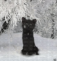 winter/weihnacht - Bezmaksas animēts GIF