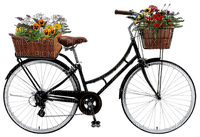 bicicleta con canastas de flores - 免费PNG