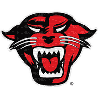 red panther - nemokama png