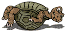 Schildkröte schaukelt. - Ücretsiz animasyonlu GIF
