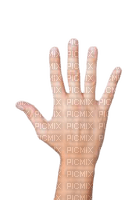 hand - Free PNG