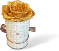 rose box Bb2 - PNG gratuit