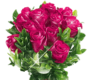rose Emad - Darmowy animowany GIF