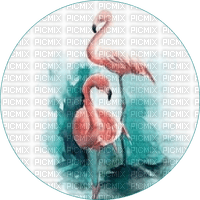 MMarcia cisne ave aquarela  cygne aquarelle - png gratis