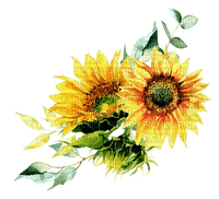 Sunflower.Tournesol.Girasoles.Victoriabea - Free PNG