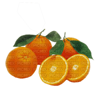 fruit oranges bp - nemokama png