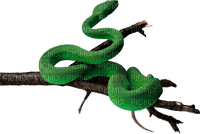 Snake - 免费PNG