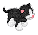 Black and White Cat - Бесплатный анимированный гифка