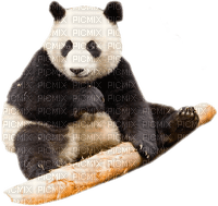 panda - PNG gratuit