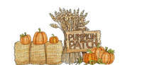 Pumpkins Patch Autumn Fall - gratis png