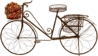 Kaz_Creations Bicycle Bike Trike - Free PNG