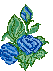 Blue roses - Animovaný GIF zadarmo