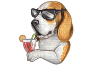 maj beagle chien - kostenlos png