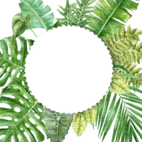 kikkapink tropical summer frame - 免费PNG