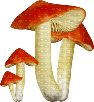 kikkapink deco autumn mushroom red white - png grátis