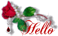 Hello rose3 - GIF animasi gratis