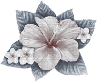 soave deco summer tropical flowers blue brown - zdarma png