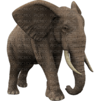 elephant-animal - безплатен png