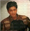Shah Rukh Khan - png gratuito