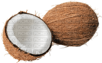 Coconuts.Brown.White - bezmaksas png