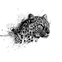 snow leopard bp - png gratis