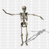 Esqueleto - Gratis animerad GIF