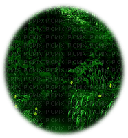 forest  background by nataliplus - gratis png