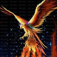 oiseau de feu - PNG gratuit