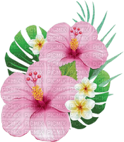 fleurs hibiscus - kostenlos png