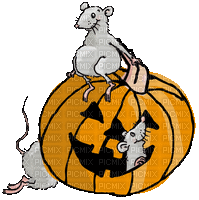 Halloween.Pumpkin.Mice.gif.Victoriabea - Бесплатный анимированный гифка