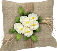 coussin - kostenlos png