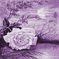 Y.A.M._Vintage background purple - GIF animado gratis