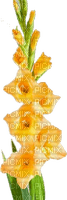 Fleurs jaune - PNG gratuit