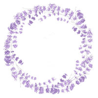 Lavender circle frame - png gratis