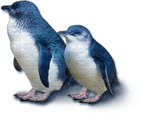 penguin8 - png gratuito