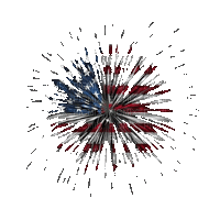 Flag Fireworks - Gratis animeret GIF