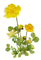 déco fleurs /Clody - Nemokamas animacinis gif