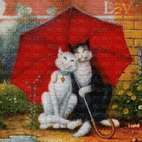 love cats umbrella gif chats amour parapluie