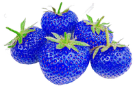 flower,fruit, strawberry - png grátis