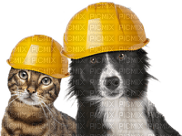Kaz_Creations Dog Cat With Hardhat - zdarma png