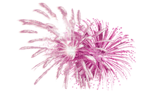gala fireworks - png gratuito