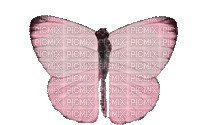 dulcineia8 borboletas - GIF animate gratis