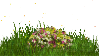 flower,grass - GIF animado grátis
