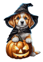 halloween, witch, dog, herbst, autumn - png ฟรี