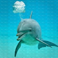 dauphin  HD - 免费PNG