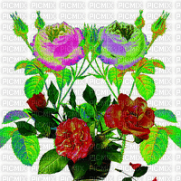 rózsák - Gratis geanimeerde GIF