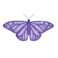 butterfly - wings -Nitsa P