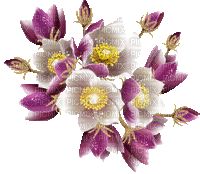 Y.A.M._Spring Flowers Decor - GIF animado gratis
