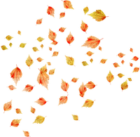 Kaz_Creations Deco Transparent Leaves Leafs  Colours - бесплатно png